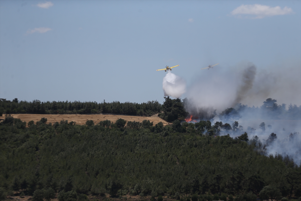 Çanakkale'de tarım arazisinden ormanlık alana sıçrayan yangına müdahale ediliyor