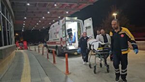 ÇORUM (AA) – Çorum'un Ortaköy ilçesinde sahipsiz köpeklerin saldırısı nedeniyle