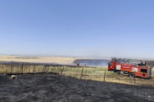 DİYARBAKIR (AA) – Diyarbakır'ın Kocaköy ilçesinde buğday ve arpa ekili