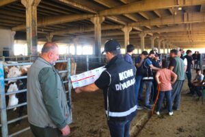 DİYARBAKIR (AA) – Diyarbakır'da, Kurban Bayramı dolayısıyla hayvan pazarlarını gezen