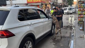 DİYARBAKIR (AA) – Diyarbakır'ın Silvan ilçesinde 300 polisin katılımıyla uyuşturucu