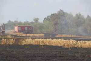 EDİRNE (AA) – Edirne'de buğday ekili bir tarlada çıkan yangında