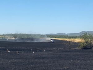 EDİRNE (AA) – Edirne'nin Keşan ilçesinde buğday tarlasında çıkan yangın