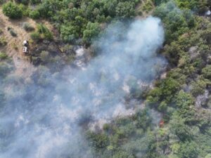 EDİRNE (AA) – Edirne'nin Lalapaşa ilçesinde çıkan orman yangınına havadan