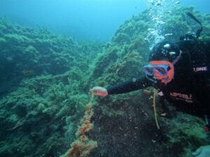 ÇANAKKALE (AA) – Çanakkale Onsekiz Mart Üniversitesi (ÇOMÜ) ve Balıkesir