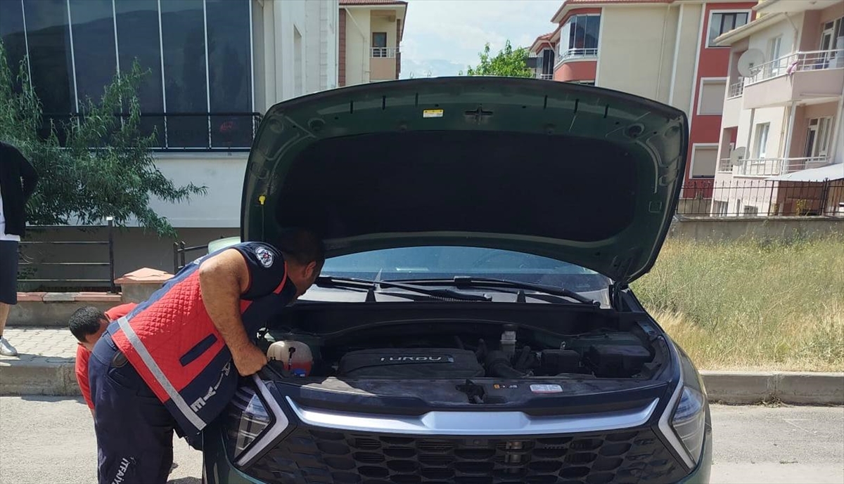 Erzincan’da otomobilin motor bölümüne sıkışan kedi yavrularını itfaiye kurtardı
