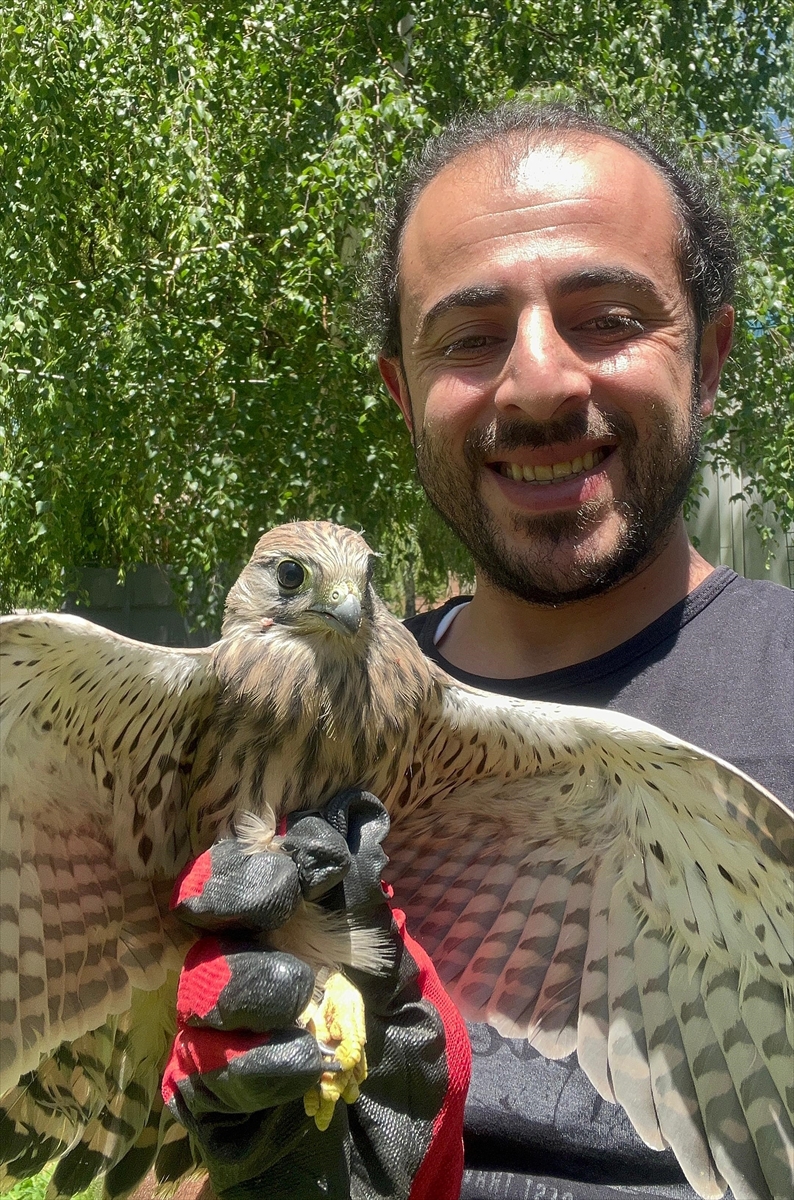 Erzurum'da bitkin bulunan kerkenez bakımının ardından doğaya bırakıldı