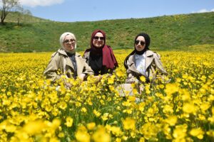 GÜMÜŞHANE (AA) – Gümüşhane'nin merkeze bağlı Sarıçiçek köyünde her yıl