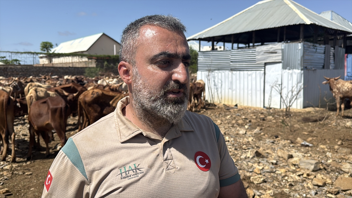Hak İnsani Yardım Derneği, Somali'de yaklaşık 260 bin kişiye kurban eti dağıttı