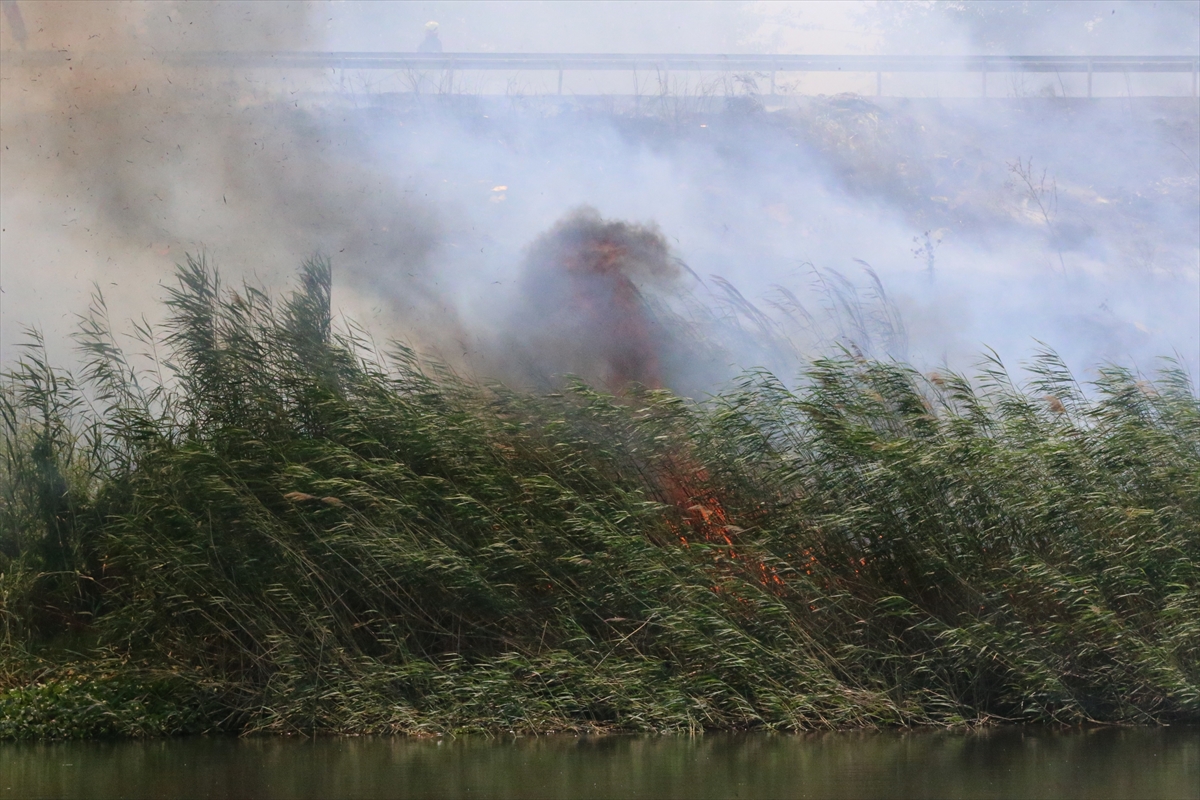 Hatay'da Asi Nehri'nin kenarındaki alanda çıkan yangın kontrol altına alındı