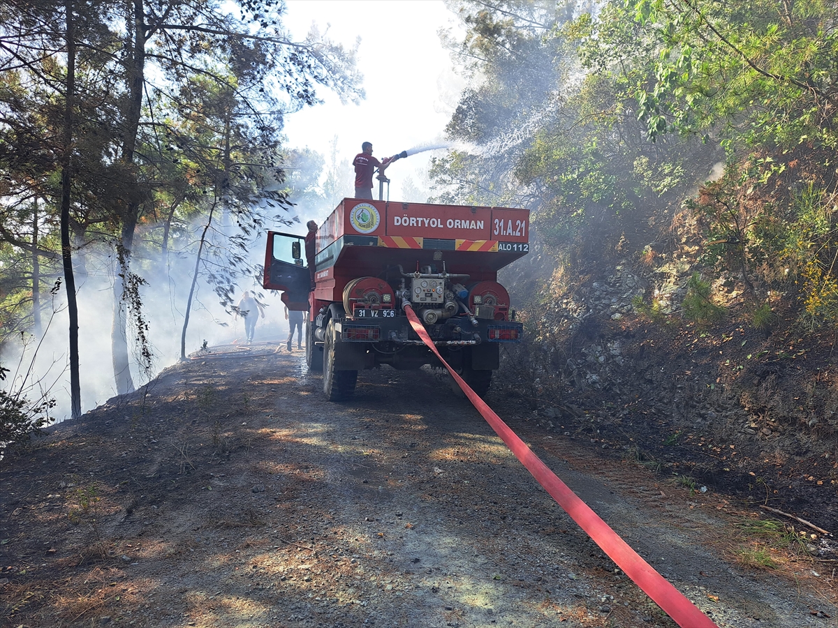 Hatay'da çıkan orman yangını kontrol altına alındı
