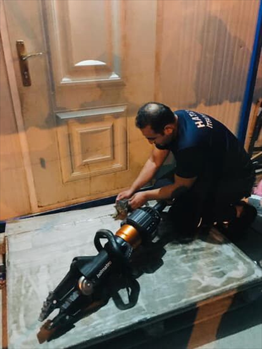 Hatay'da itfaiye ekibi, kedi yavrusunu kalp masajıyla hayata döndürdü
