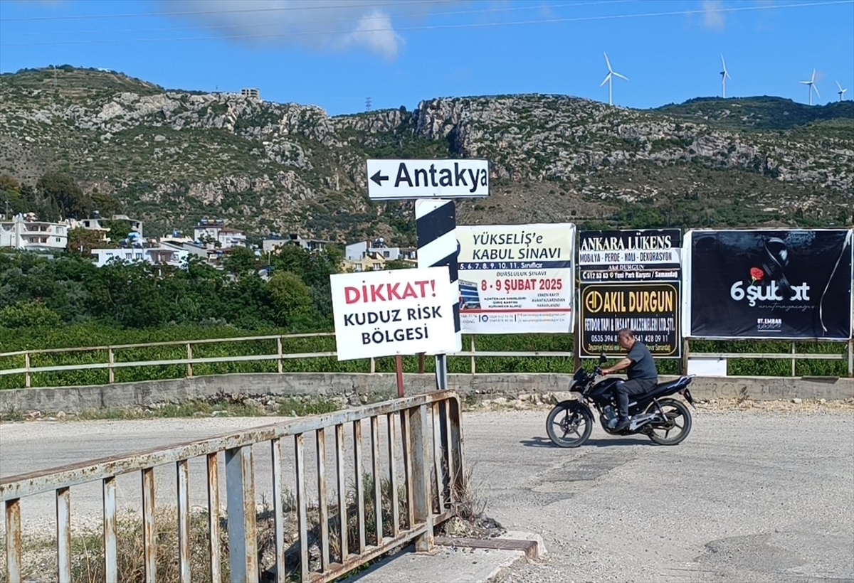 Hatay'da kuduz karantinası uygulanan 4 mahallede sahipsiz köpekler toplatılıyor