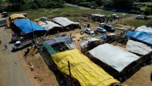 İSTANBUL (AA) – Kurban Bayramı'nın birinci gününde kurban satış ve