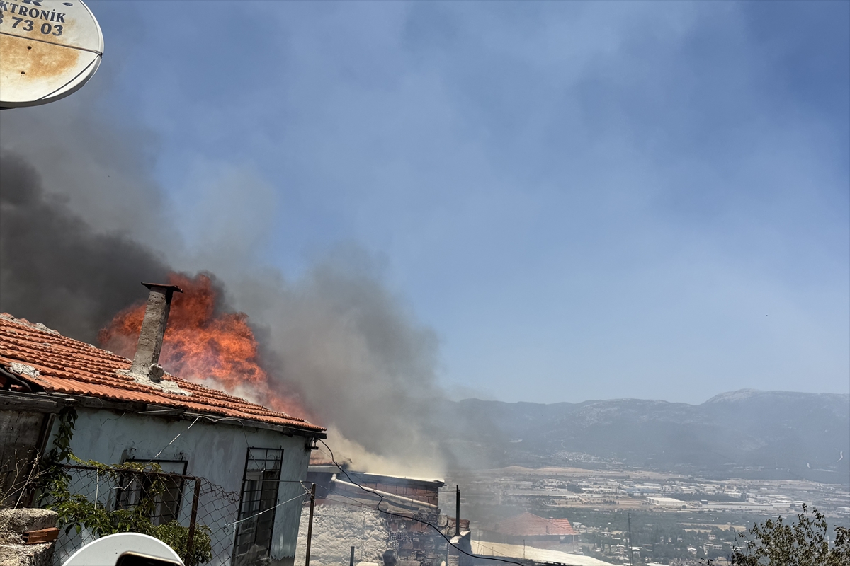 İzmir'de ağaçlık alanda çıkan yangında bir ev kullanılamaz hale geldi