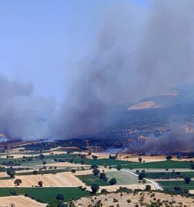 İZMİR (AA) – İzmir'in Kınık ilçesinde çıkan orman yangınına havadan