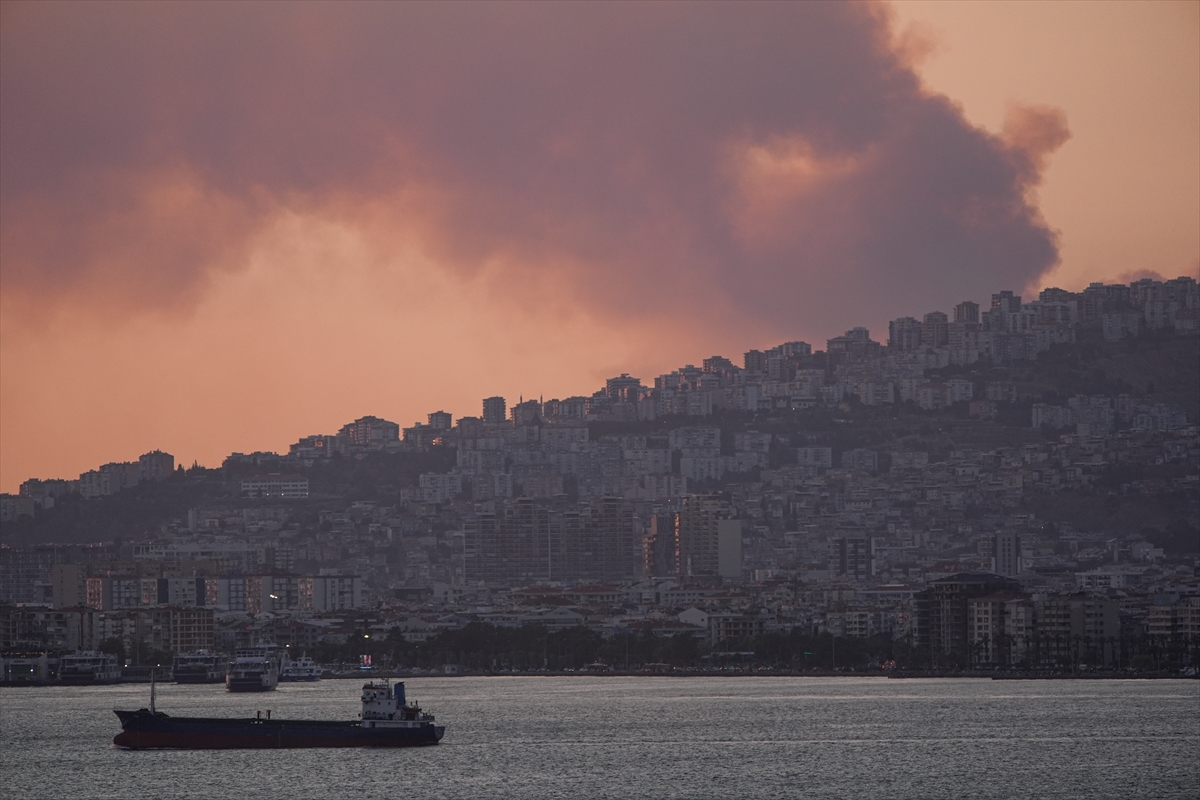 İzmir'de çöplük alanda başlayan yangın ormanlık alana sıçradı