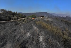 İZMİR (AA) – İzmir'in Aliağa ilçesinde çöplük alanda dün başlayan