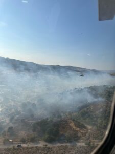 İZMİR (AA) – İzmir'in Dikili ilçesinde makilik ve çamlık alanda