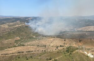 İZMİR (AA) – İzmir'in Seferihisar ilçesinde otluk alanda çıkan yangına