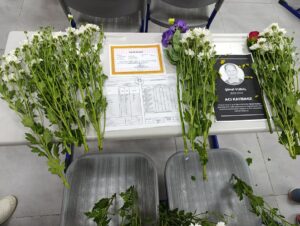 İZMİR (AA) – İzmir'in Aliağa ilçesinde, önceki gün trafik kazasında