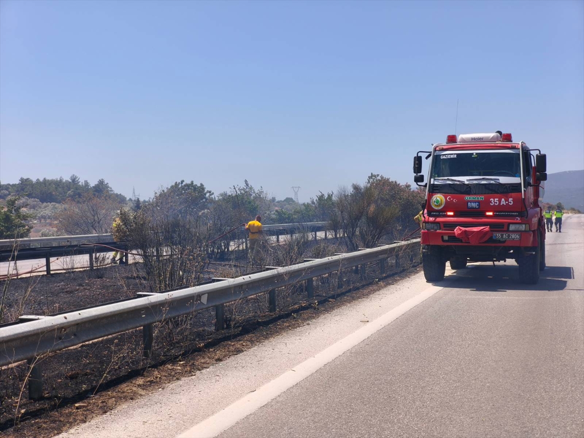 İzmir'de zeytinlik alandan çıkan yangın kontrol altına alındı