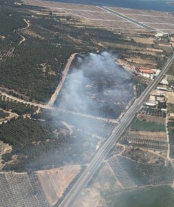 İZMİR (AA) – İzmir'in Aliağa ilçesinde çıkan orman yangınına havadan