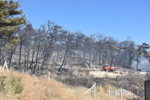İZMİR (AA) – İzmir'in Kemalpaşa ilçesinde çıkan orman yangını, havadan