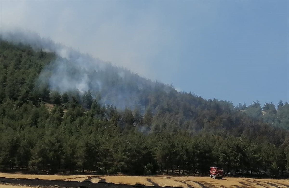 Kahramanmaraş'ta çıkan orman yangınına müdahale ediliyor