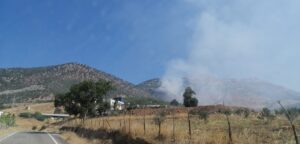 KAHRAMANMARAŞ (AA) – Kahramanmaraş'ın Türkoğlu ilçesinde çıkan orman yangınına müdahale