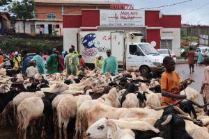 YAOUNDE (AA) – Kamerun'un başkenti Yaounde'de Kurban Bayramı'na sayılı günler