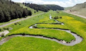 KARS (AA) – Kars'ın Sarıkamış ilçesinde, sağanak sonrası yüksek rakımlı