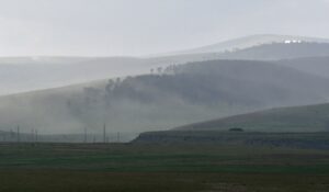 KARS (AA) – Kars'ın Sarıkamış ilçesinde, yoğun polen fırtınası meydana