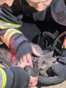KASTAMONU (AA) – Kastamonu'da bir iş yerinde çıkan yangından itfaiye