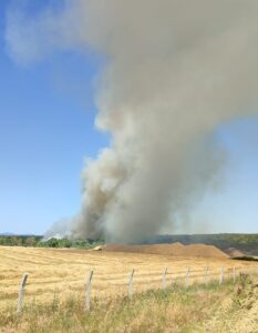 KIRKLARELİ (AA) – Kırklareli'nin Pınarhisar ilçesinde tarım arazisinde başlayıp ağaçlık