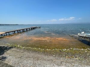 KOCAELİ (AA) – Kocaeli'nin Karamürsel ilçesinde denizin kıyı kesimi turuncuya