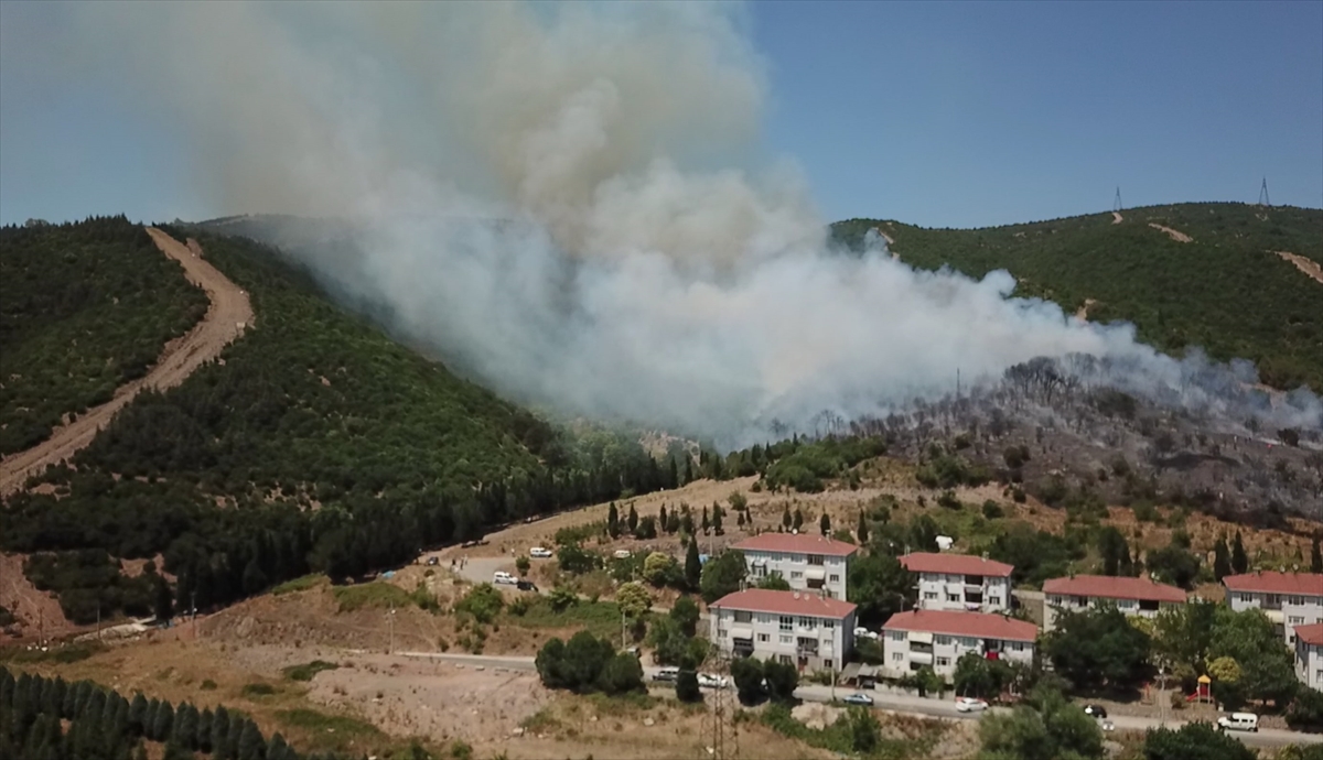 Kocaeli'de makilik ve ağaçlık alanda çıkan yangına müdahale ediliyor