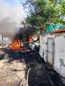 MALATYA (AA) – Malatya'nın Kale ilçesinde otluk alanda çıkan ve