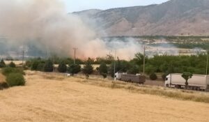 MALATYA (AA) – Malatya'nın Kale ilçesinde otluk alanda çıkan yangın