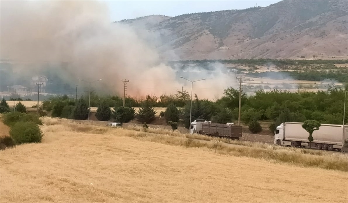 Malatya'da otluk alanda çıkan yangın söndürüldü