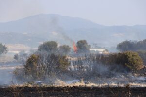 - Samanları balya yapan makineden çıktığı değerlendirilen yangın kontrol altına