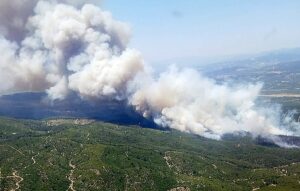 MANİSA (AA) – Manisa'nın Akhisar ilçesinde çıkan orman yangınına havadan