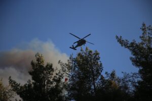 MANİSA (AA) – Manisa'nın Akhisar ilçesinde 28 Haziran'da çıkan orman