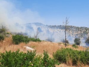MERSİN (AA) – Mersin'in Silifke ilçesinde ağaçlık alanda çıkan yangına
