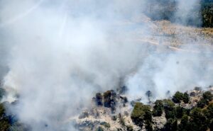 MERSİN (AA) – Mersin'in Bozyazı ilçesinde, ormanlık alanda çıkan yangına