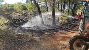 MUĞLA (AA) – Muğla'nın Menteşe ilçesinde çıkan orman yangını büyümeden