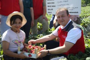 MUĞLA (AA) – Muğla'da proje kapsamında yetiştirilen ve hasadı yapılan