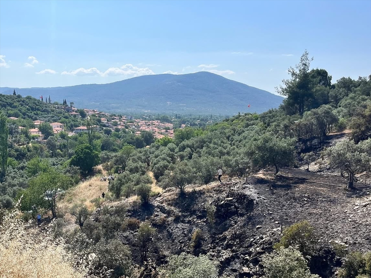 GÜNCELLEME – Muğla'da makilik ve zeytinlik alanda çıkan yangın söndürüldü