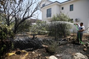 MUĞLA (AA) – Muğla'nın Fethiye ilçesinde odunlukta çıkan ve zeytinliğe