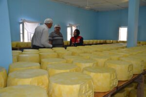 MUŞ (AA) – Muş'ta girişimci 5 kardeşin kurduğu tesiste üretilen